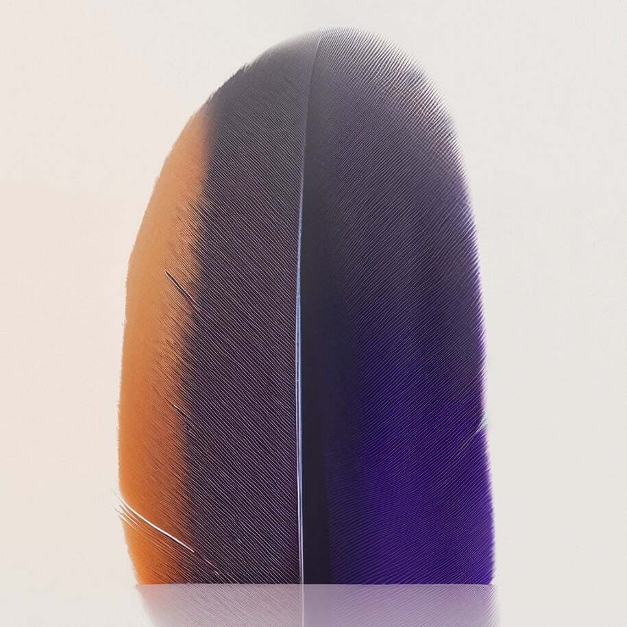 NS Visual Q6