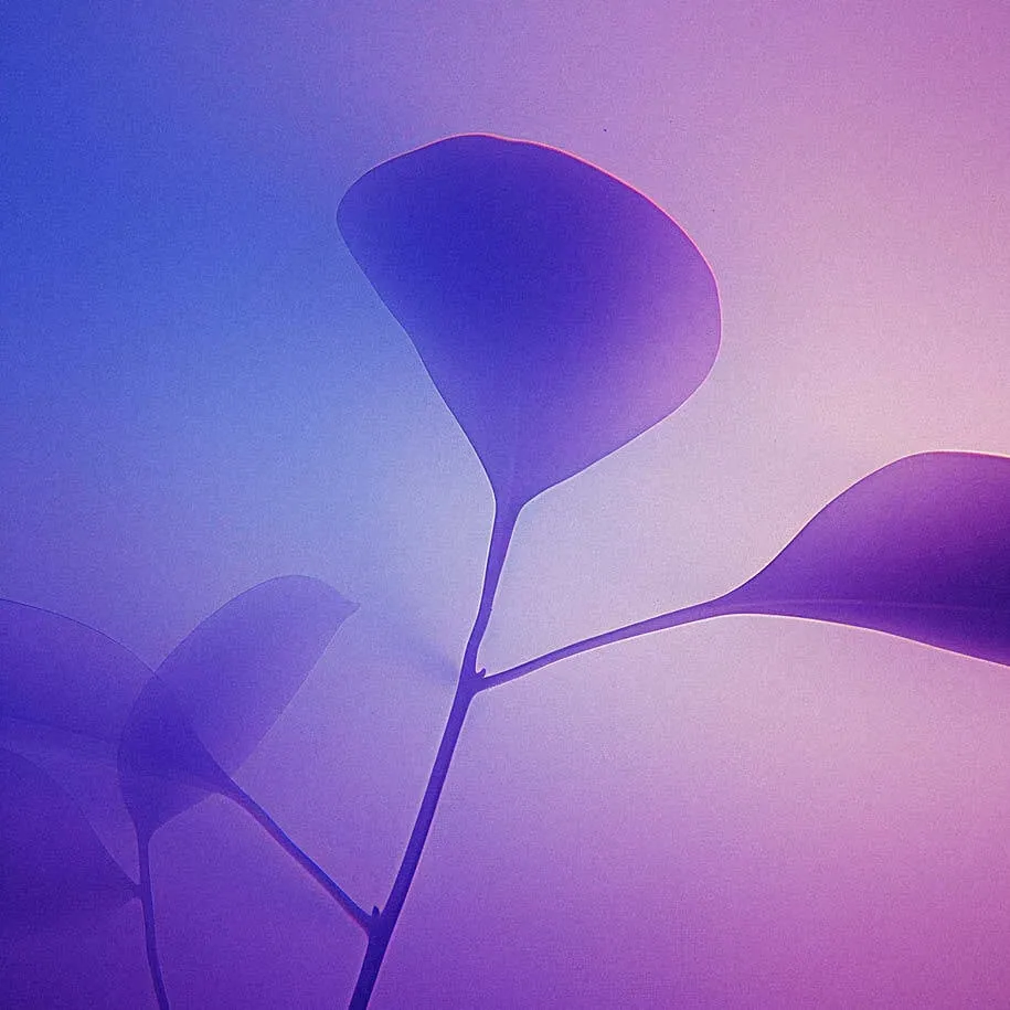Pure_AI_38_915x915